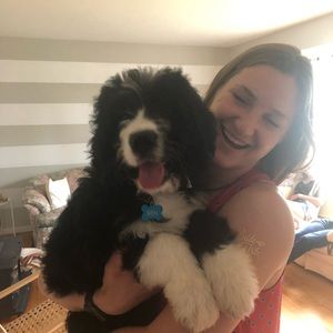 Meet your Posher, Grace